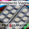 Prospecto Viagra 07